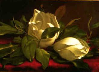 Martin Johnson Heade Magnolia hgh oil painting image